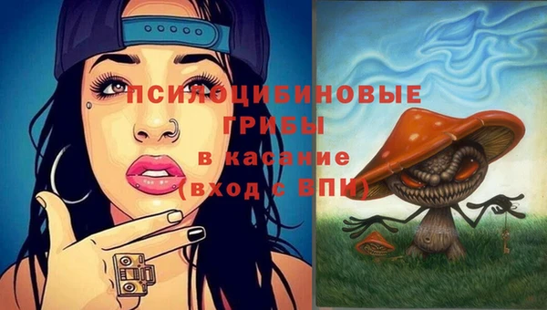 соль ск Лихославль