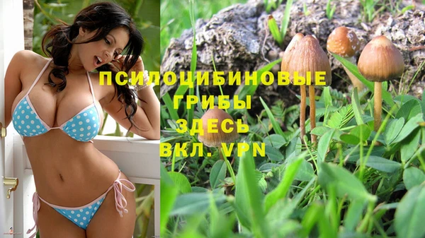 мескалин Лабытнанги