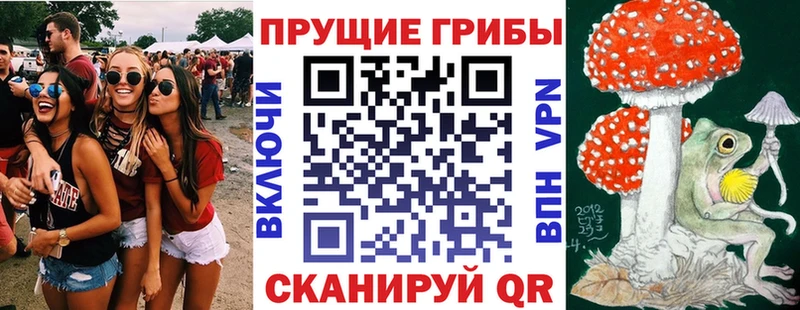 блэк спрут зеркало  купить наркотик  Чебаркуль  Галлюциногенные грибы Cubensis 